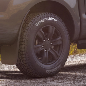 Disk iz lahke zlitine 17" 6 x 2 kraki, črn